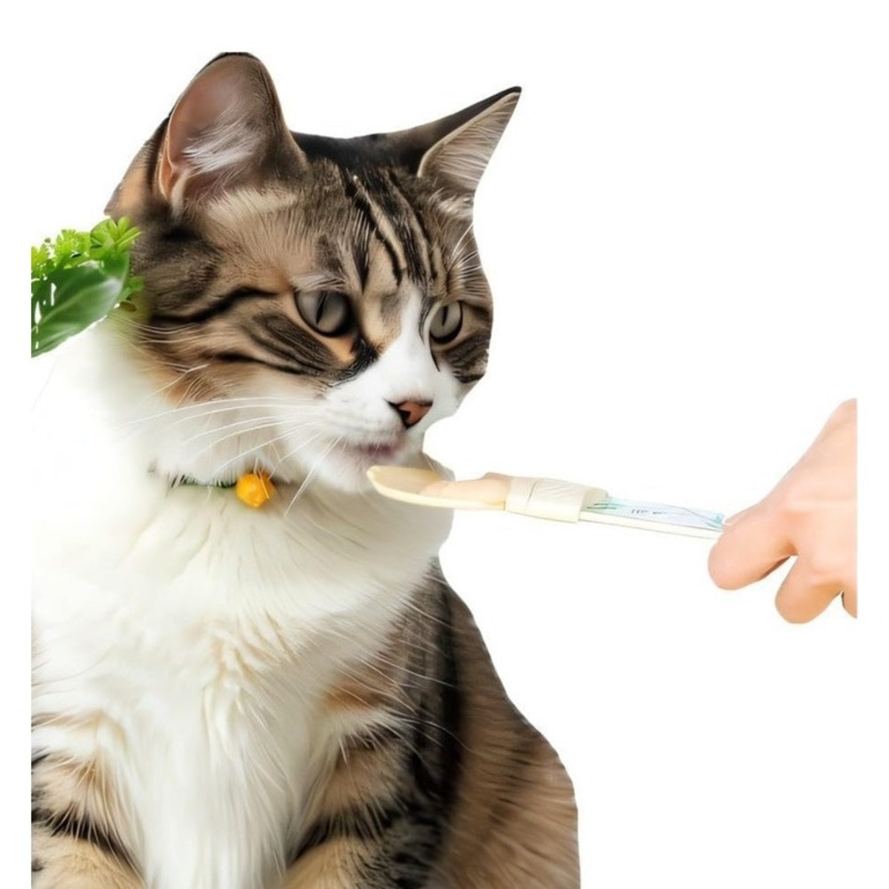 2 Pc Cat Food Spoon Strip Feeder Wet‎ Snack Ladle Plastic 11 x 3 Green & Beige